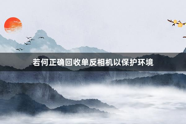 若何正确回收单反相机以保护环境