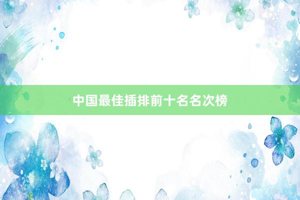 中国最佳插排前十名名次榜