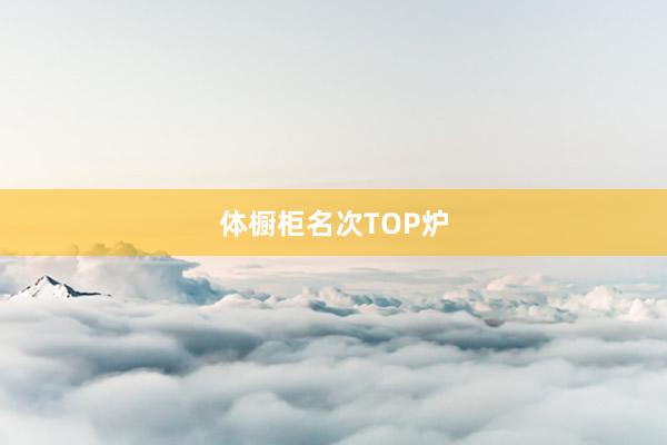 体橱柜名次TOP炉